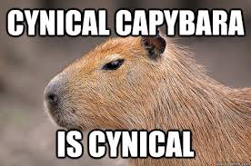 Cynical Capybara memes | quickmeme