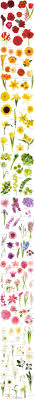 A Flower Chart Grower Direct Fresh Cut Flowers Presents