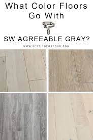 Agreeable Gray Undertones