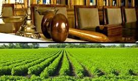 Image result for what are the responsibilities i have to have when being a ag lawyer
