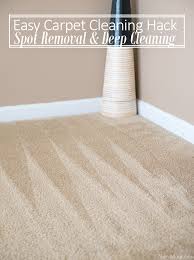easy carpet cleaning hack spot removal