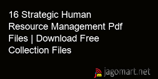 16 strategic human resource management