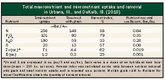 We Need To Revisit Corns Nutrient Needs