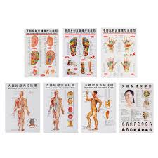 20 Described Acupuncture Alarm Points Chart