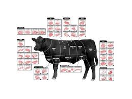 Beef Cuts Of Meat Butcher Chart Cattle Diagram Poster 24inx36in Poster 24x36
