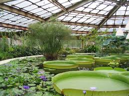 Before the grand manner era what few significant gardens could be found in britain had developed under influence from the continent. Greenhouse Wikipedia