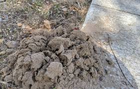 is making dirt mounds in my yard