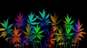 weed wallpaper images browse 6 stock
