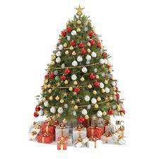 Pikbest have found 41056 great christmas tree images for free. Christmas Tree Png Transparent Images Png All
