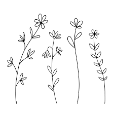 flower sketches in line art doodle