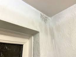 Treating Dampness In Walls Guide To