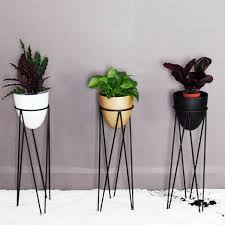 The green leaves provide relaxing and fresh ambience throughout the room. Modern Plant Stand Shelf Corner Indoor Outdoor Decorative Buy Metal Corner Plant Stand Decorative Wall Corner Shelf Plant Stand Shelf Product On Alibaba Com