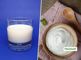 milk vs yoghurt nutrition facts which