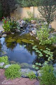 Clean And Healthy Pond Aquascape