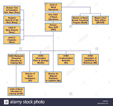 Us Navy Office Of Chief Naval Operations Org Chart Stock