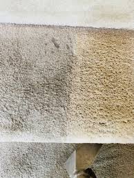 carpet cleaning services south bend
