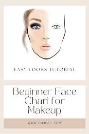 beginner face chart for makeup easy