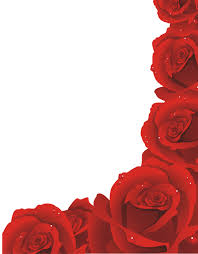 free red rose border png image with no