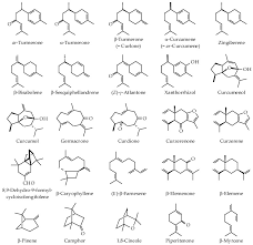 Batubara regency is a regency on north sumatra's eastern shoreline, with limapuluh as its seat. Chemical Composition And Biological Activities Of Essential Oils Of I Curcuma I Species Abstract Europe Pmc