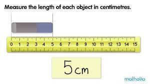 We did not find results for: Using A Centimeter Ruler 2nd Grade Math Class Ace