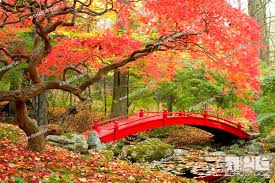 Scenic Autumn Picture Of Japanese