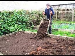 The Best Way To Prepare Raised Beds For