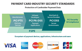 payment card data security standard