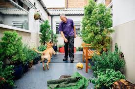Sensory Garden For Your Dog