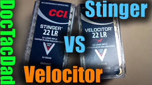 Cci Stinger Vs Cci Velocitor Ballistics Discussion