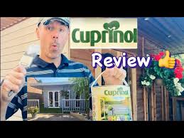cuprinol garden shade s paint review