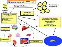 Techniques for writing essays and papers   Chartered Accountants     Hypertension   AHA Journals     english conspectus writing for school students  Many cases of  hypertension proved  Multiple risk and cardiovascular disease    