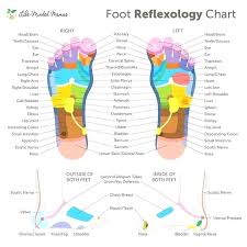 18 Curious Acupressure Points Chart Free Download Pdf