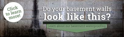 basement waterproofing mold removal