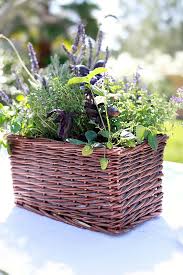 We are both moms that love to cook and do simple crafts and diy projects. Diy Kitchen Herb Garden Giveaway Yummy Mummy Kitchen