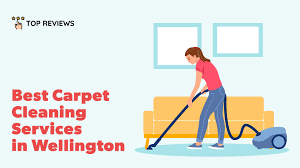 the 9 best carpet cleaning services in