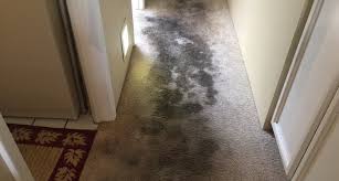 yep we fix carpet