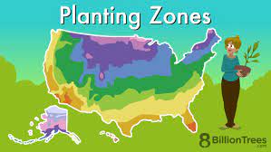 Planting Zones Guide Usda Hardiness