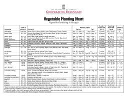 Free Vegetable Garden Planner Design