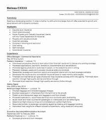 Resume Skills And Abilities Examples