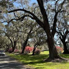 west ashley charleston sc