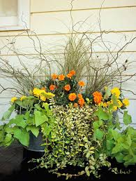 Container Gardens Just Right For The