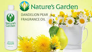 Dandelion Pear Fragrance Oil Natures