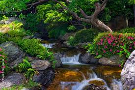 Beautiful Japanese Garden With Small