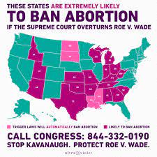 THIS is what overturning Roe v. Wade ...
