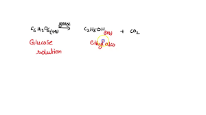 Write A Balanced Chemical Equation For