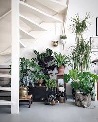 5 Minimalist Indoor Garden Ideas For