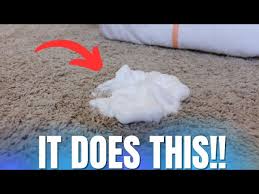 clean a carpet stain with shaving cream