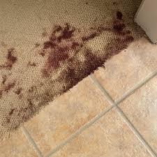 carpet cleaning in tucson az