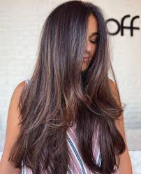 65 brown hair with caramel highlights
