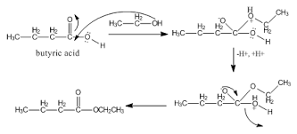 esterification reaction between ethanol